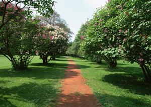 沖縄で探偵を探しているときには